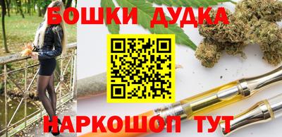 крисы Ставрополь