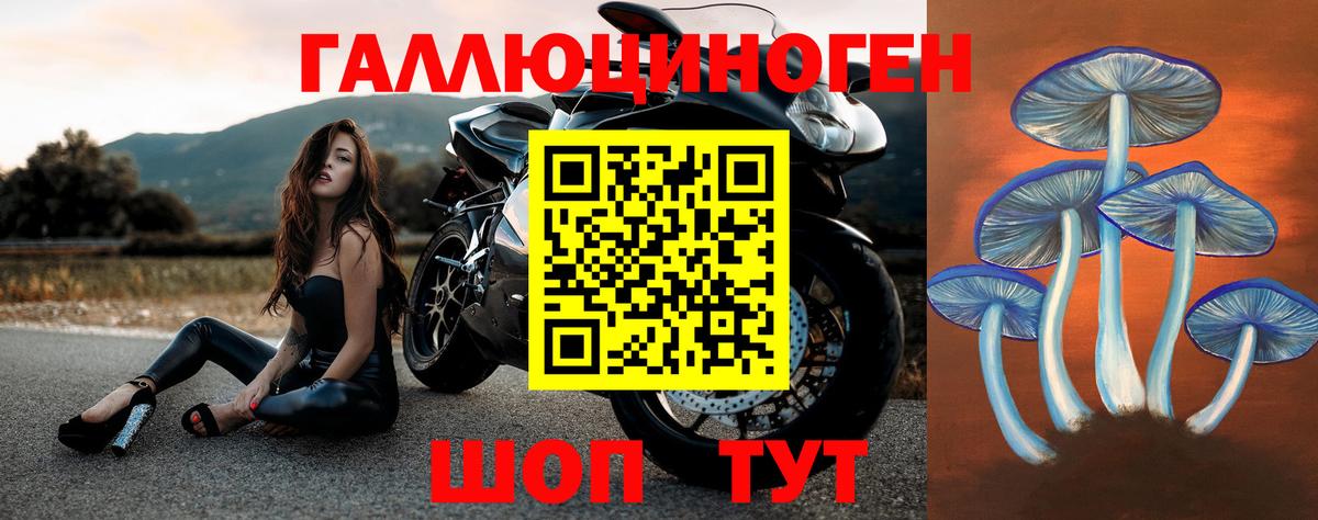 Галлюциногенные грибы мухоморы Белореченск
